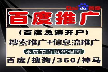 案例分享：SEM推广助力电商快速崛起