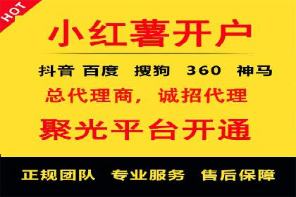 专业SEM托管服务成功案例分享